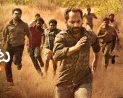 Sudheer made a cameo in the film 